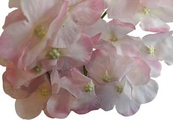 Hortensia Hydrangea Roze Zijdenbloem los 15×10 cm, Ophalen of Verzenden, Nieuw