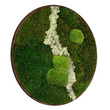 Vintlux Mosschilderij Rond 40 cm Donker Eiken - Uppsala Lat, Nieuw