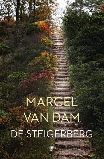 De steigerberg 9789023476597 Marcel van Dam, Boeken, Verzenden, Gelezen, Marcel van Dam