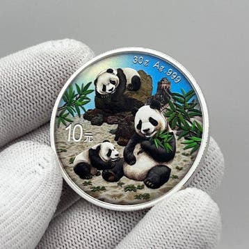 China. 10 Yuan 2025 – Panda – 30 g Silver Coin .999 –