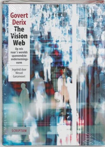 The Vision Web | 9789055941971 | G. Derix, Ophalen of Verzenden, Zo goed als nieuw, G. Derix
