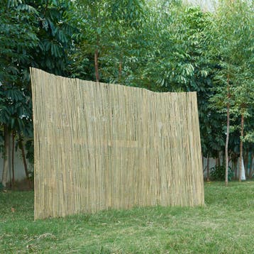 casa.pro Bamboemat Baarle tuinhek op rol 200x500 cm, Verzenden, Nieuw