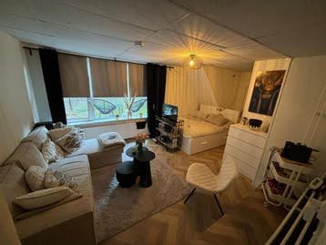 Te huur: Kamer Lange Mare in Leiden