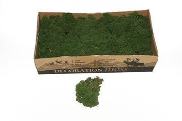 Rendiermos IJslandsmos Finlandsmos Mosgroen 500 gram, Ophalen of Verzenden, Nieuw