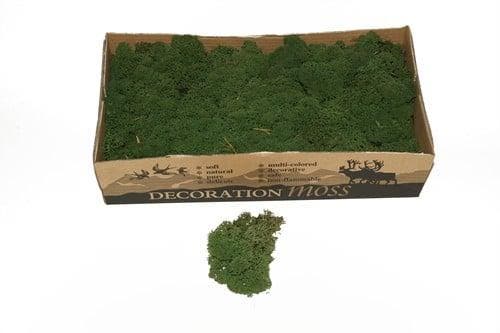 Rendiermos IJslandsmos Finlandsmos Mosgroen 500 gram, Huis en Inrichting, Woonaccessoires | Kunstplanten en Kunstbloemen, Nieuw