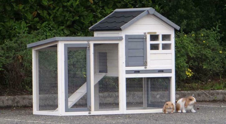 Supermooi en Goedkoop konijnenhok Advance, Dieren en Toebehoren, Knaagdieren en Konijnen | Hokken en Kooien, Hok, Nieuw