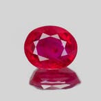 1 pcs Rood Robijn - 1.10 ct - Gemological Institute of, Nieuw