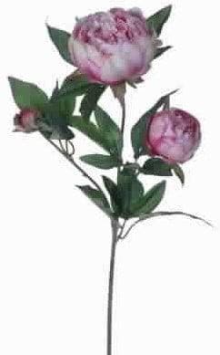 Pioenroos Lilac Zijden 63 cm, Ophalen of Verzenden, Nieuw