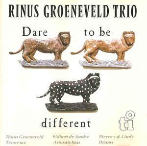 cd - Rinus Groeneveld Trio - Dare To Be Different, Verzenden, Zo goed als nieuw