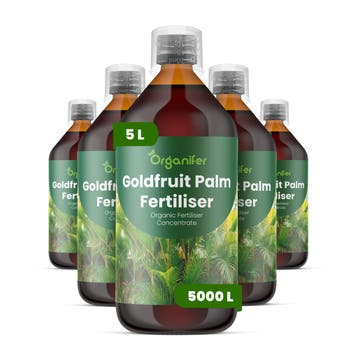 Goldfruit Palm vloeibare meststof - Set 5x1 liter, Verzenden, Mest