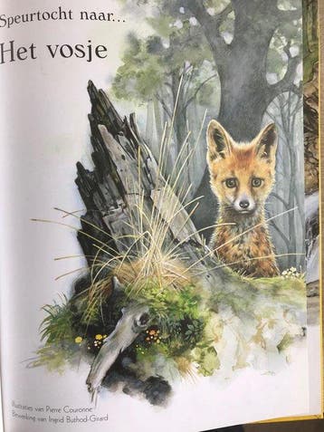 Speurtocht naar het Vosje (prentenboek) - pierre coudonne, Verzenden, Gelezen, Pierre coudonne