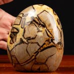 Poolse Septaria Vrije Vorm - Septaria - Aragoniet en Calciet
