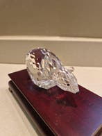 Swarovski - Figuur - Polar bear - 013747 - Kristal, Glas