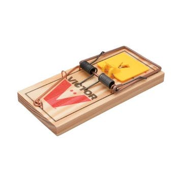 Muizenval | Protect Home | Victor Classic | 2 stuks (Hout), Verzenden, Nieuw