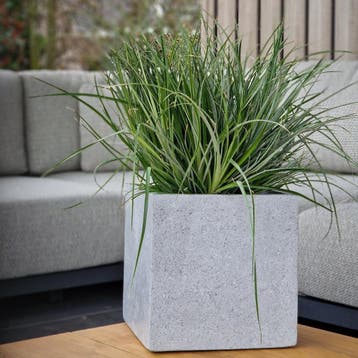 Cube XS 30x30x30 cm Grey, Tuin en Terras, Verzenden, Nieuw, Vierkant, Beton