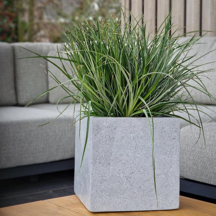 Cube XS 30x30x30 cm Grey, Tuin en Terras, Bloembakken en Plantenbakken, Nieuw, Beton, Vierkant, Verzenden