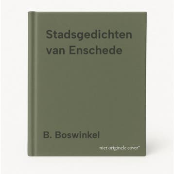 Stadsgedichten van Enschede - B. Boswinkel 9789078234203, Verzenden, Zo goed als nieuw, B. Boswinkel