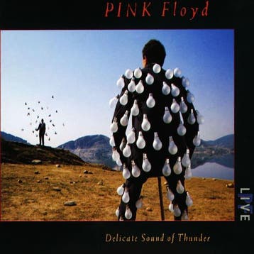 Pink Floyd – Delicate Sound Of Thunder 5099960919427 (2-CD-S, Ophalen of Verzenden, Nieuw in verpakking
