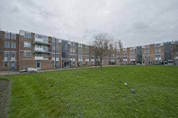 Kamer te huur in Amsterdam - 15 m² - 1 kamer(s), Amsterdam