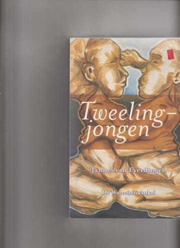 Tweelingjongen 9789073459212 J.J.E. van Everdingen, Verzenden, Gelezen, J.J.E. van Everdingen