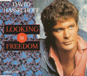 David Hasselhoff - Looking For Freedom, Cd's en Dvd's, Ophalen of Verzenden, Gebruikt