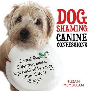 Dog Shaming - Susan Mcmullan 9781845026516, Verzenden, Zo goed als nieuw, Susan Mcmullan