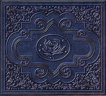 cd digi - Ryan Adams &amp; The Cardinals - Cold Roses, Verzenden, Zo goed als nieuw