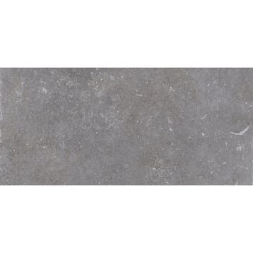 Vloertegel Cerriva Ancienne Petit Opus 20x20 20x30 cm Gris, Ophalen of Verzenden, Nieuw