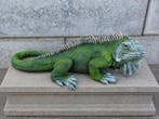 Beeld, sculpture in beautiful of a rock Iguana - 34 cm -