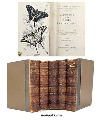 Kirby - Lloyd’s Natural History. The Order Lepidoptera -