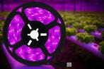Led strip groeilamp - groei led -5V Usb Led Licht- Groeilamp, Tuin en Terras, Kweekspullen, Verzenden, Nieuw, Kweeklamp