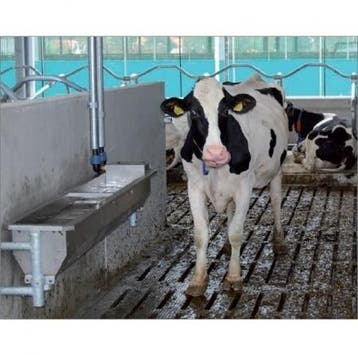 Drinkbak RVS Spinder Classic, muurbevestiging model 300, Dieren en Toebehoren