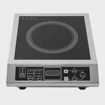 Professionele 3500W Inductie Kookplaat - Draagbaar & met Tim, Verzenden, Nieuw