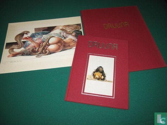 Druuna - 1991, Boeken, Stripboeken, Gelezen, Eén stripboek, Verzenden
