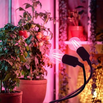 Kobi Planty Clip W Duo - tafellamp met 2x E27 - zwart - F..., Ophalen of Verzenden, Nieuw