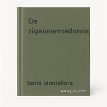 De zigeunermadonna - Santa Montefiore 9789022552360, Verzenden, Gelezen, Santa Montefiore