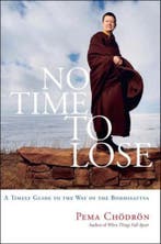 No Time To Lose 9781590304242 Pema Chodron, Verzenden, Zo goed als nieuw, Pema Chodron