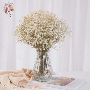 60g Gedroogde Baby's Breath Bloemboeket - Natuurlijke Gypsop, Verzenden, Nieuw
