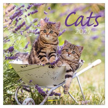 Cats kalender 2027, Ophalen of Verzenden, Nieuw in verpakking