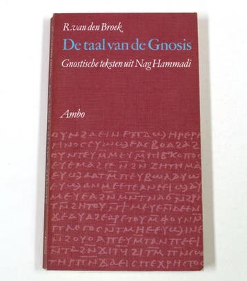 De taal van de Gnosis - Broek 9789026307454, Boeken, Verzenden, Gelezen, Broek