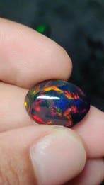 Opaal Negro AAA+++ vuurkleurig Multicolor - 4,5Ct -