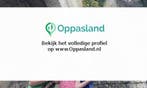 Jenny zoekt een oppas in Dalfsen voor 3 kinderen., Vacatures