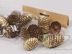 Dennenappel Ray Cones Goud 100 gram kleinverpakking, Ophalen of Verzenden, Nieuw