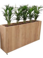 Nieuwe Houten Plantenbak Voor Op Kantoor - Kleur Naar Keus, Verzenden, 150 tot 200 cm, Eikenhout, Nieuw