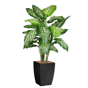 Dieffenbachia kunstplant, H140cm, Ophalen of Verzenden, Overige soorten, 100 tot 150 cm