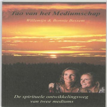 Tao van het Mediumschap - Willemijn Bessem 9789490230050, Verzenden, Zo goed als nieuw, Willemijn Bessem