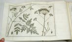 Martinus Houttuyn, Carl von Linné - Natuurlyke historie of