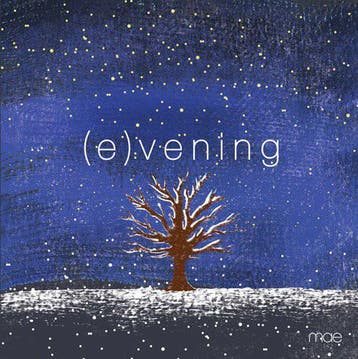 cd - Mae - (E)vening, Verzenden, Zo goed als nieuw