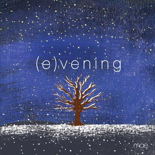 cd - Mae - (E)vening, Cd's en Dvd's, Cd's | Overige Cd's, Zo goed als nieuw, Verzenden