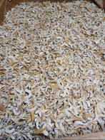 Haai - Fossiele tanden - meerdere soorten (Zonder, Verzamelen